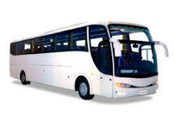 Buses de 30 a 48 pax